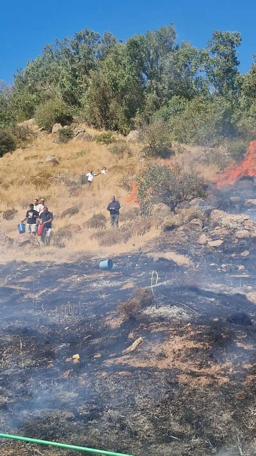Bodrum'da Evlere Yakında Makilik Alanda Yangın Başladı 1